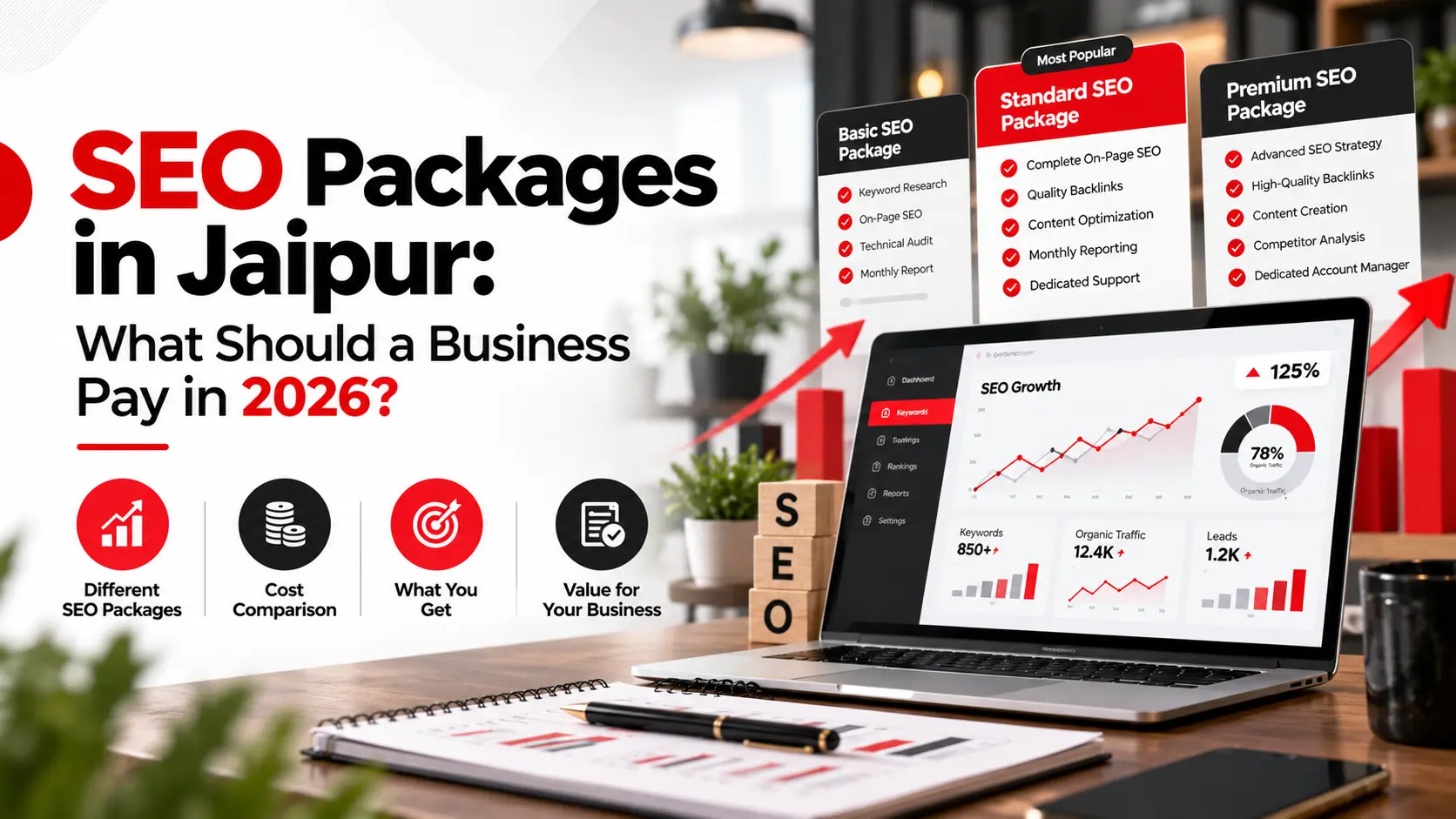 SEO Packages in Jaipur